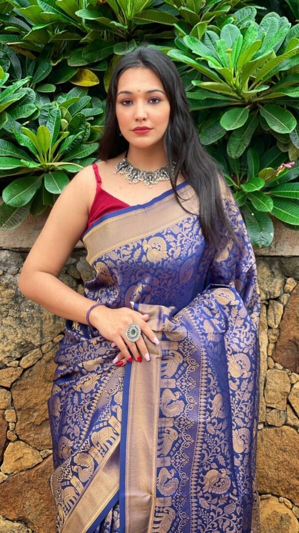 Kanjivaram Weaving Silk Saree Collection 06