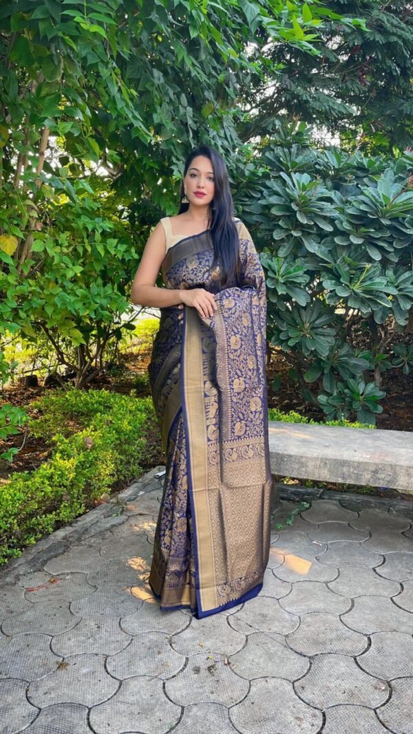 Kanjivaram Weaving Silk Saree Collection 02