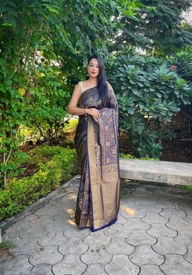 Kanjivaram Weaving Silk Saree Collection 02