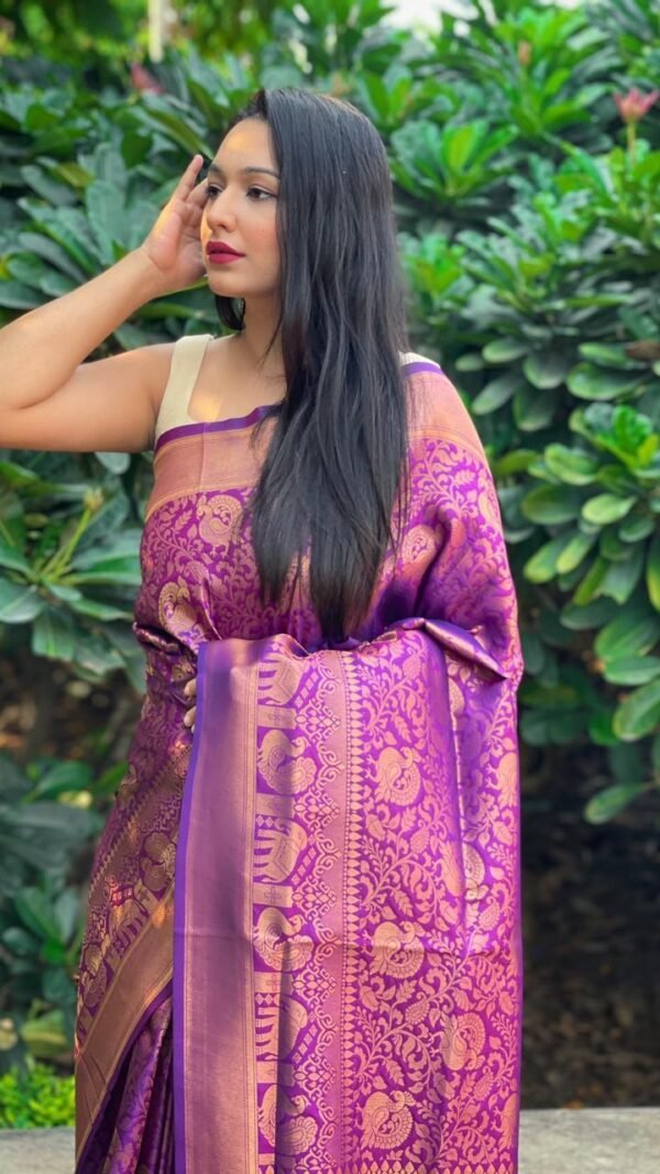 Kanjivaram Weaving Silk Saree Collection 05