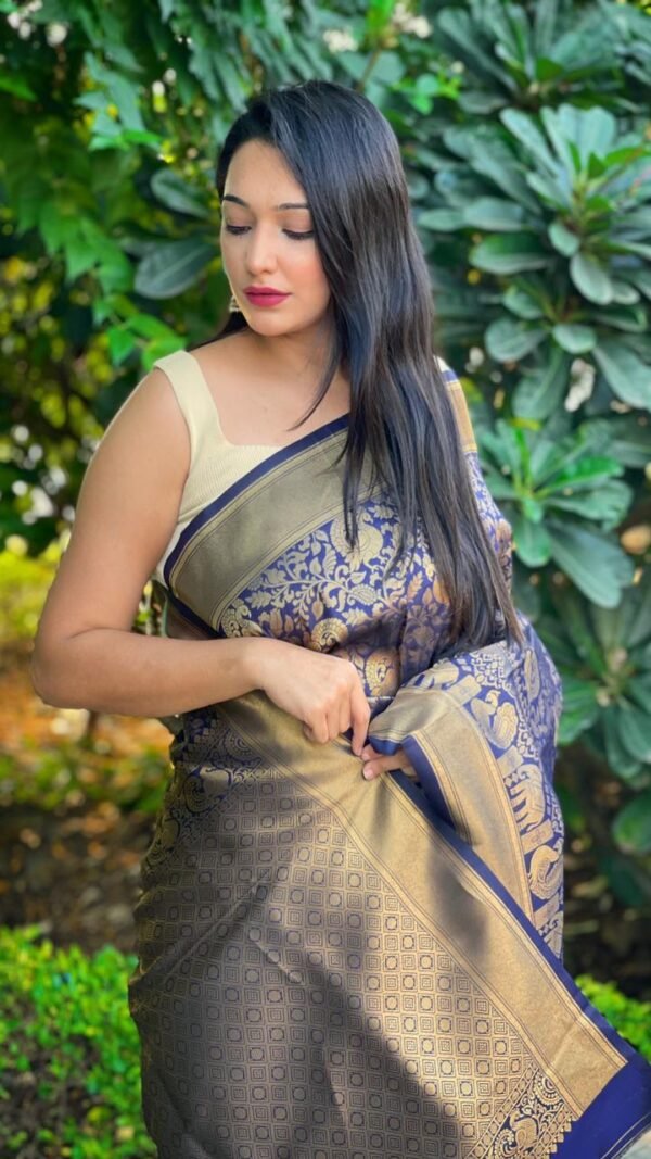 Kanjivaram Weaving Silk Saree Collection 07