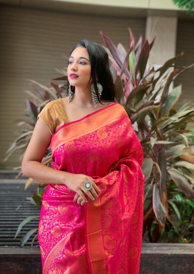 Kanjivaram Weaving Silk Saree Collection 08