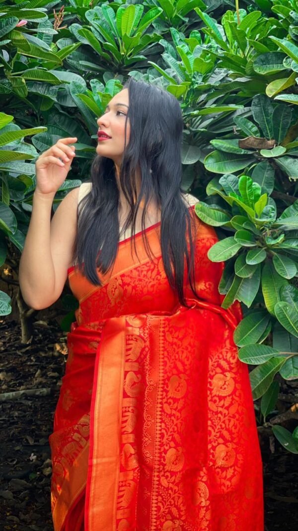 Kanjivaram Weaving Silk Saree Collection 09