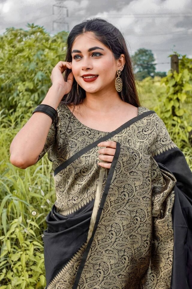 Exclusive Soft Lichi Silk Banarasi Saree 01