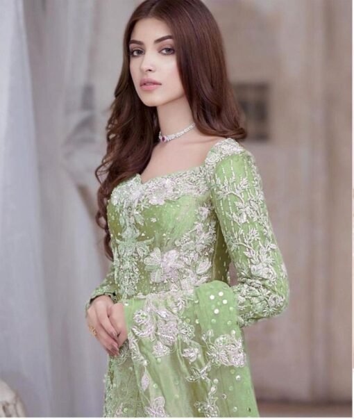 Pakistani Suits Butterfly Net Heavy Embroidered with Moti Work 07