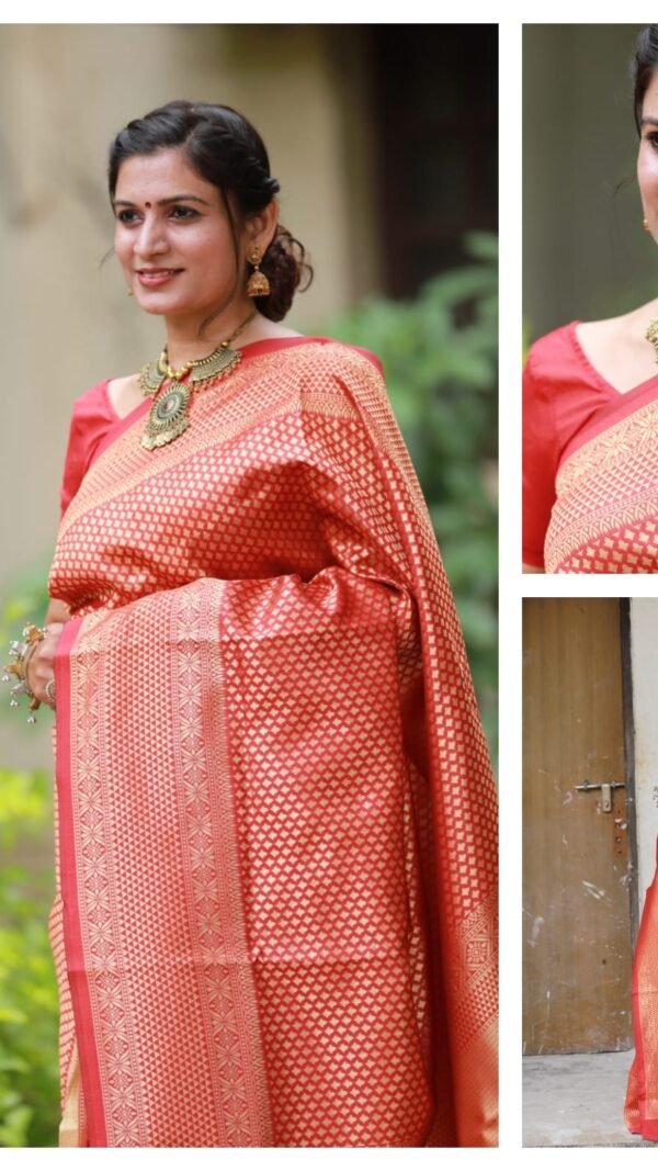 Rich Soft Silk Saree with Heavy Jacquard Border 06