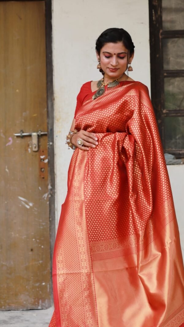 Rich Soft Silk Saree with Heavy Jacquard Border 06