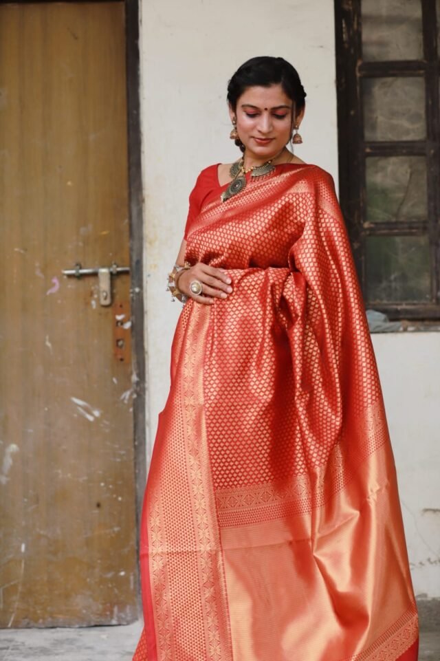 Rich Soft Silk Saree with Heavy Jacquard Border 06