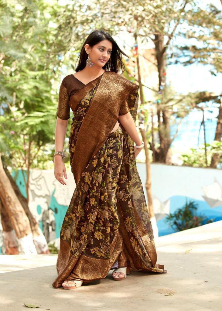 NP Sarees Rajwadi Silk Pure Chanderi Silk Wholesale Saree Catalog