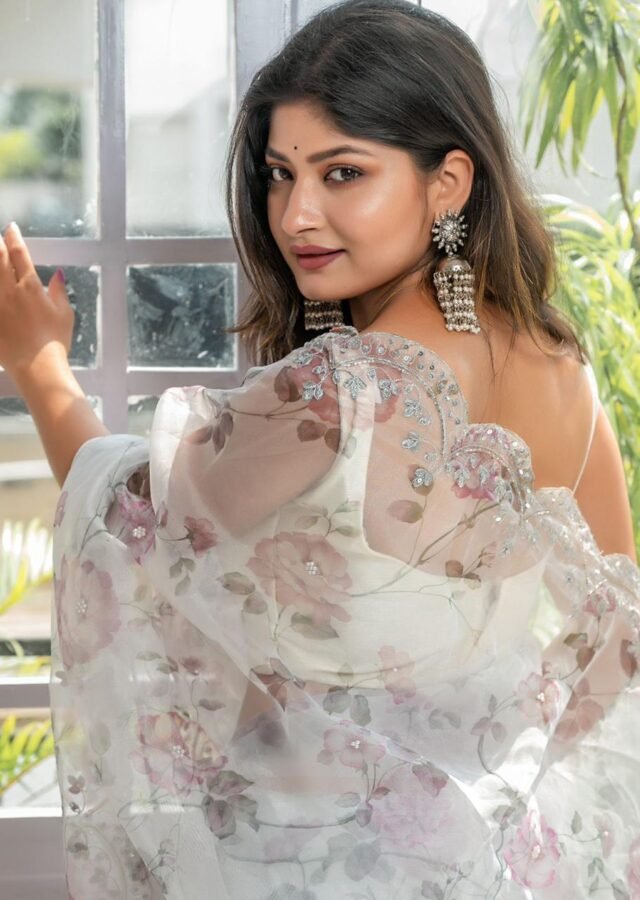 Organza Latest Designers Fashion Sarees