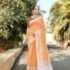 Soft Linen Saree with Weaving Lucknowi Saree 04