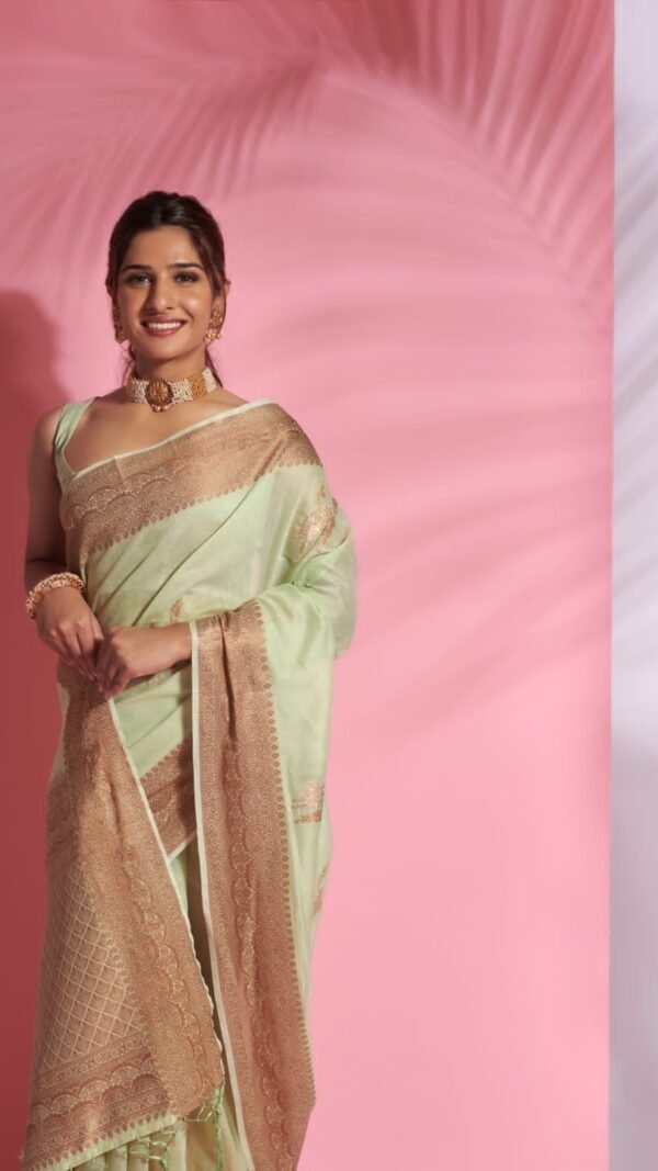 Soft Modal Cotton Dual Shade Saree 02