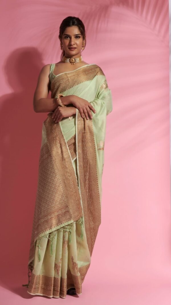 Soft Modal Cotton Dual Shade Saree 02