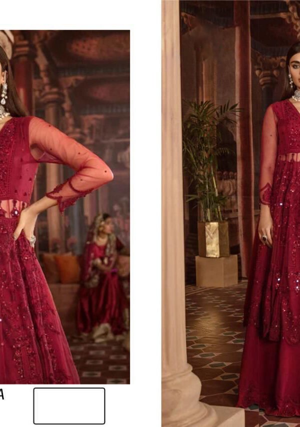 Designer Pakistani Suits with Heavy Net 01