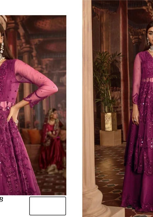 Designer Pakistani Suits with Heavy Net 02