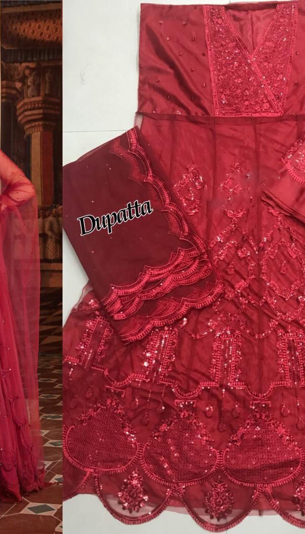 Designer Pakistani Suits with Heavy Net 01