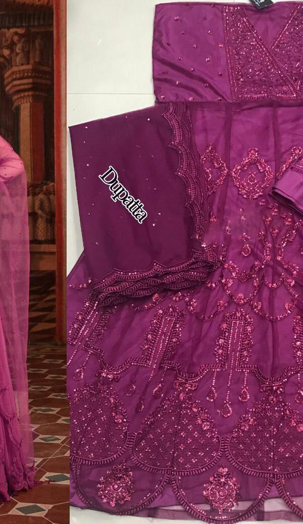 Designer Pakistani Suits with Heavy Net 02