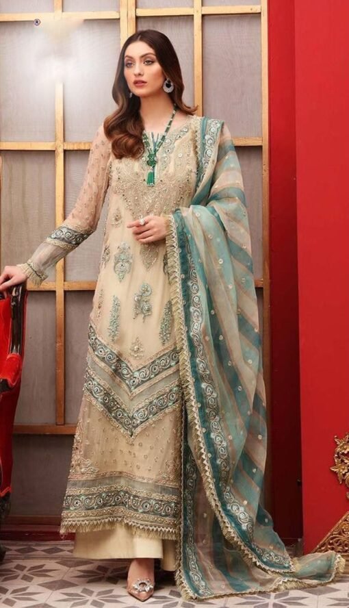 Pakistani Suits with Butterfly Net Embroidered
