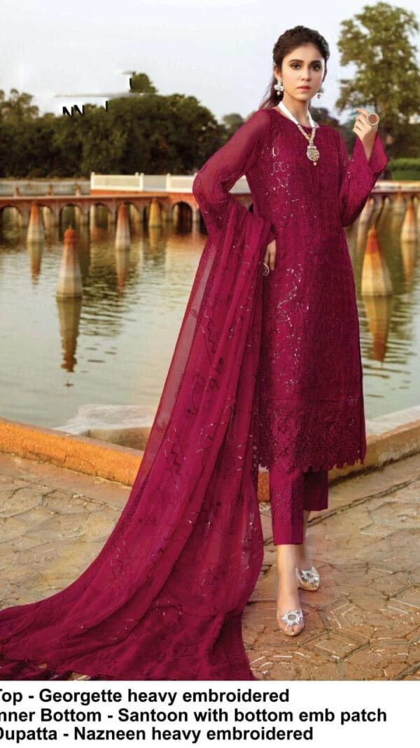 New Pakistani Georgette Salwar Kameez 02