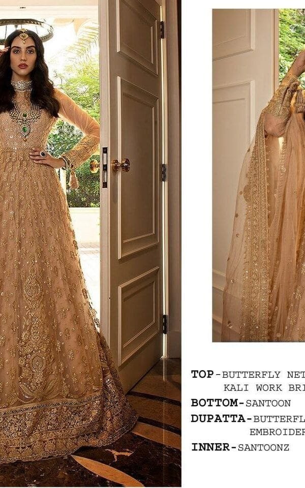 Latest Pakistani Suits with Mirror Work and Embroidery 01