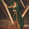 New 3d Velvet Chiffon Saree 06