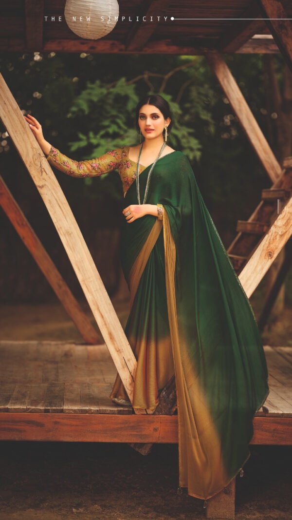 New 3d Velvet Chiffon Saree 06