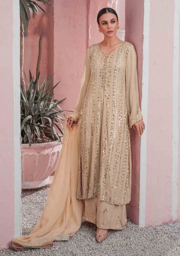 Pakistani Georgette with Embroidery Work Suits 01