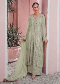 Pakistani Georgette with Embroidery Work Suits 02