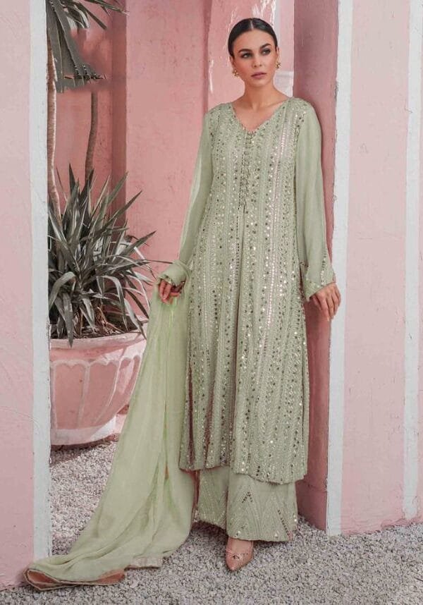 Pakistani Georgette with Embroidery Work Suits 02