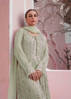 Pakistani Georgette with Embroidery Work Suits 02