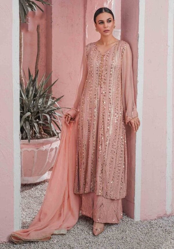 Pakistani Georgette with Embroidery Work Suits 04
