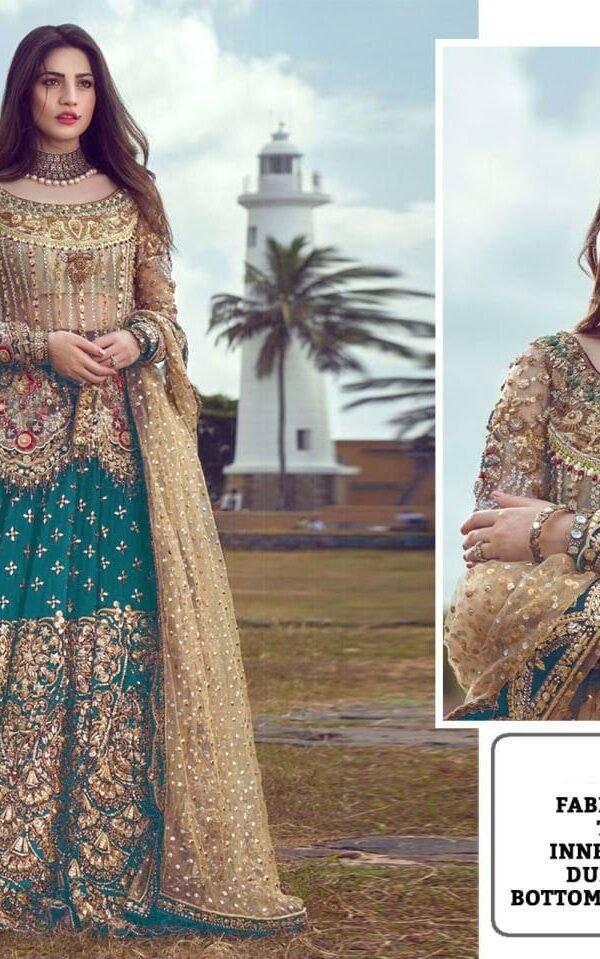 Pakistani Design with Butterfly Net Embroidery Sequence and Stone Work 01