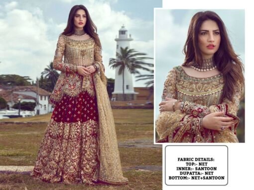 Pakistani Design with Butterfly Net Embroidery Sequence and Stone Work 02
