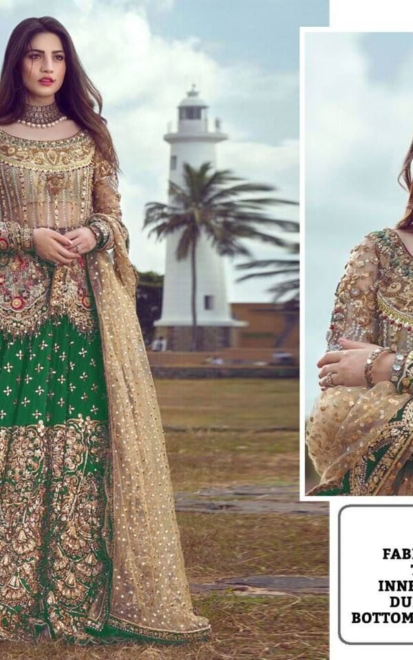 Pakistani Design with Butterfly Net Embroidery Sequence and Stone Work 03
