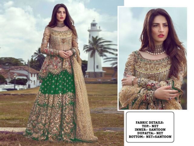 Pakistani Design with Butterfly Net Embroidery Sequence and Stone Work 03