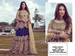 Pakistani Design with Butterfly Net Embroidery Sequence and Stone Work 04