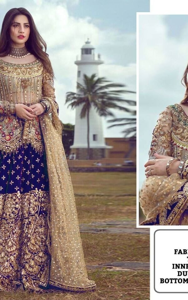 Pakistani Design with Butterfly Net Embroidery Sequence and Stone Work 04