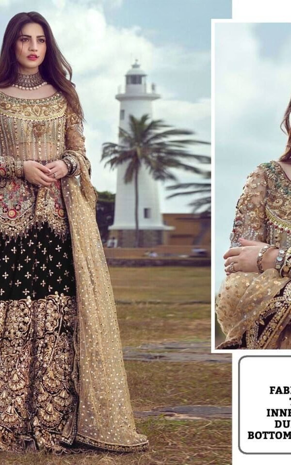Pakistani Design with Butterfly Net Embroidery Sequence and Stone Work 05