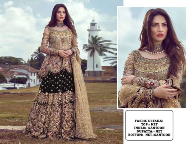 Pakistani Design with Butterfly Net Embroidery Sequence and Stone Work 05