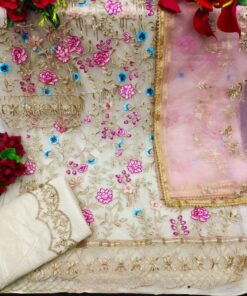 Designer Pakistani Suits Online Butterfly Net With Embroidery 01