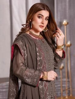 Georgette Embroidered Dn 10010 Pakistani Suits