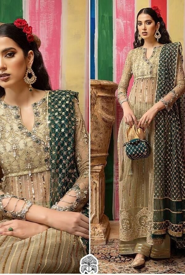 Georgette with Heavy Embroidered Dn 10018 Pakistani Suits Collection