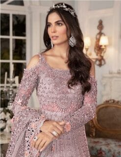 Buy Latest Pakistani Suits In Wholesale - Pakistani Suits Wholesale