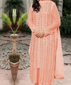 Designs Of Pakistani Suits In Lucknow - Pakistani Suits