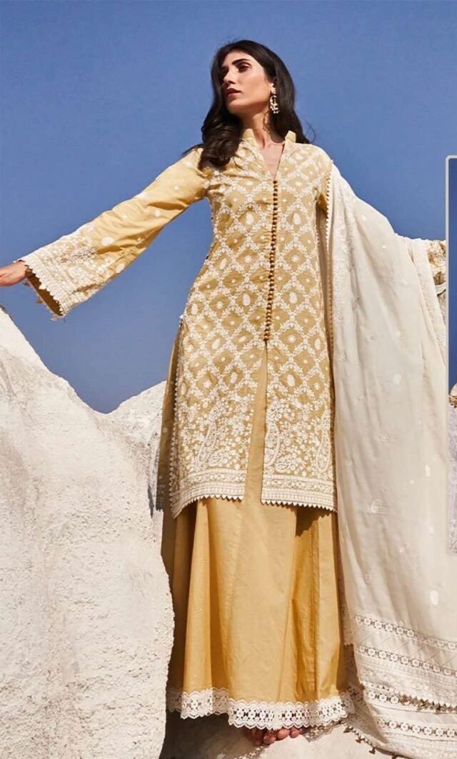 Pakistani Dress Bridal - Pakistani Suits - SareesWala