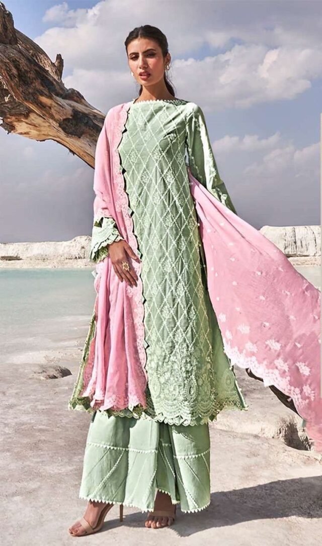 Pakistani Dress - Pakistani Suits - SareesWala