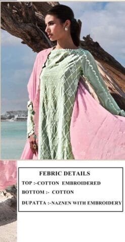 Pakistani Dress - Pakistani Suits - SareesWala