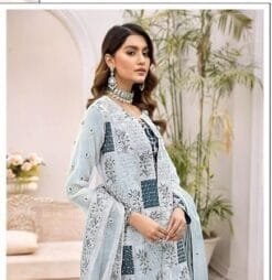 Pakistani Dress Shopping Online - Pakistani Suits