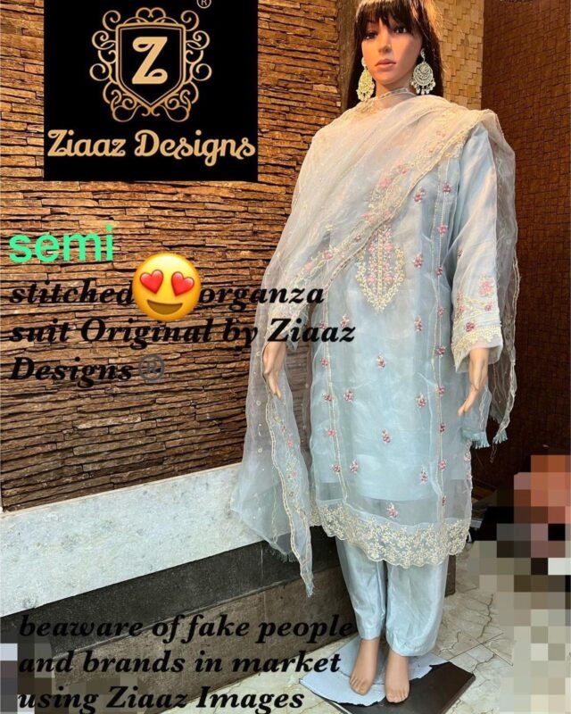 Wedding Pakistani Dress - Pakistani Suits