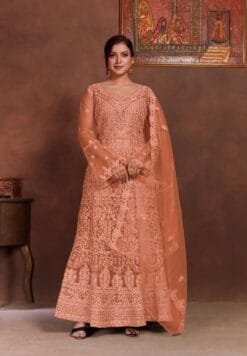 Pakistani Dress Simple - Pakistani Suits